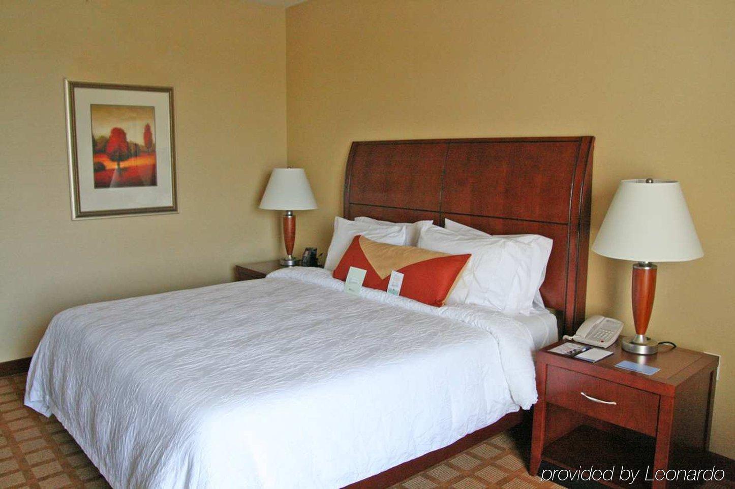 Hilton Garden Inn Indianapolis Airport Plainfield Værelse billede